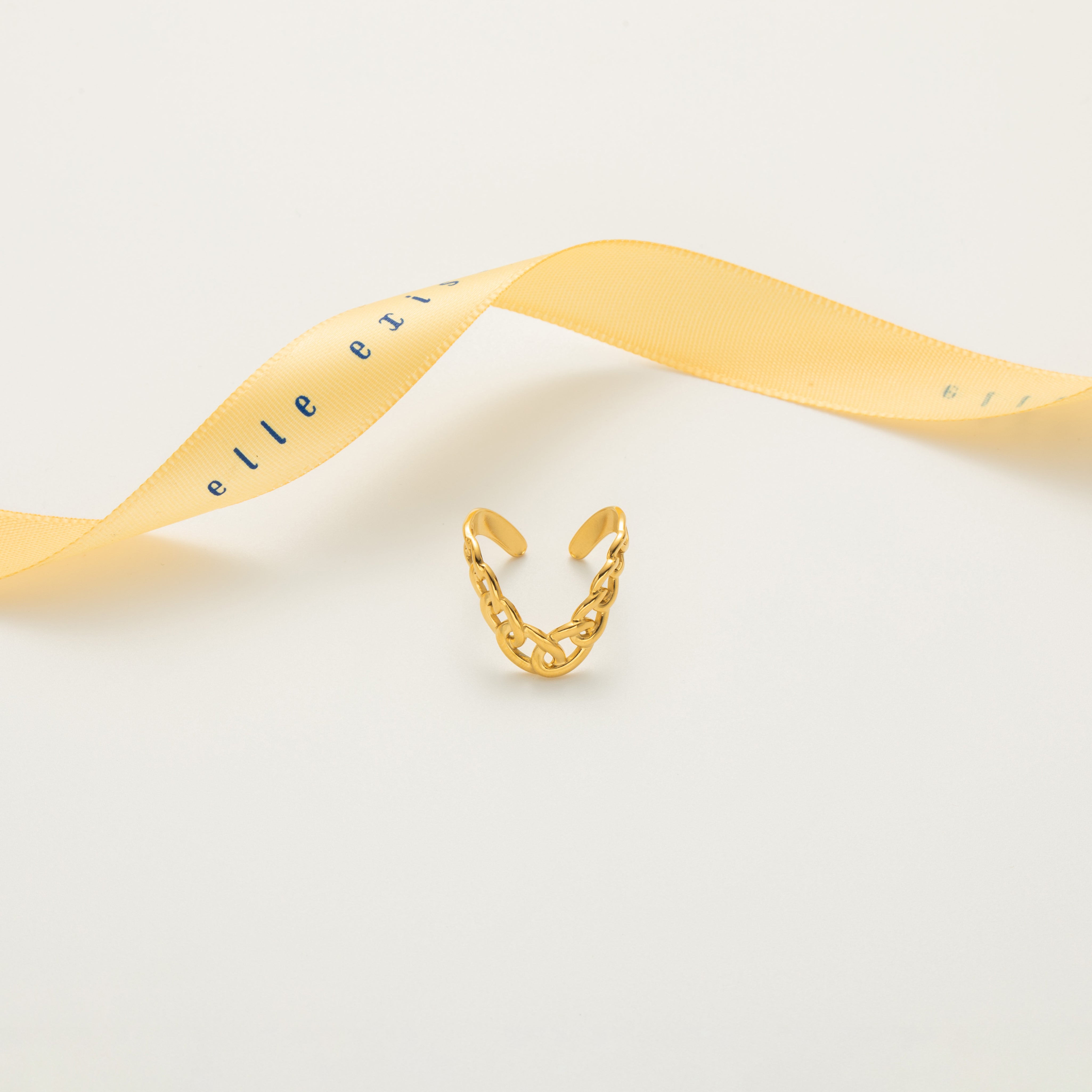 Chainlink Charm